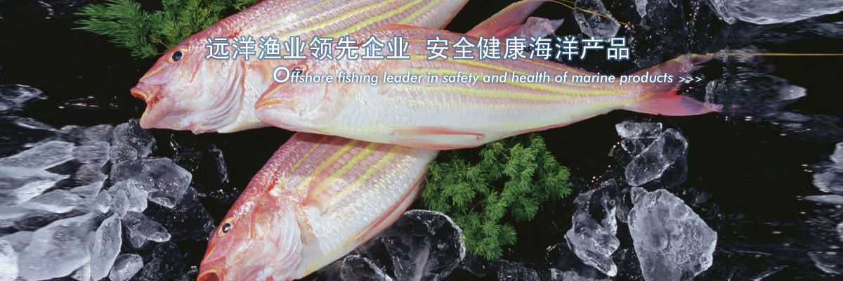 遠(yuǎn)洋漁業(yè)領(lǐng)先企業(yè) 安全健康海洋產(chǎn)品